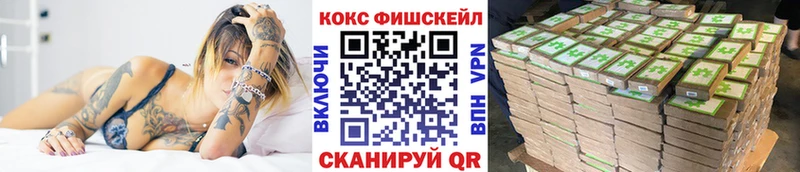 КОКАИН Fish Scale кракен ССЫЛКА Кызыл