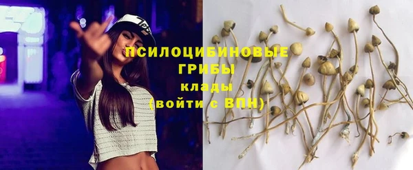 spice Киренск